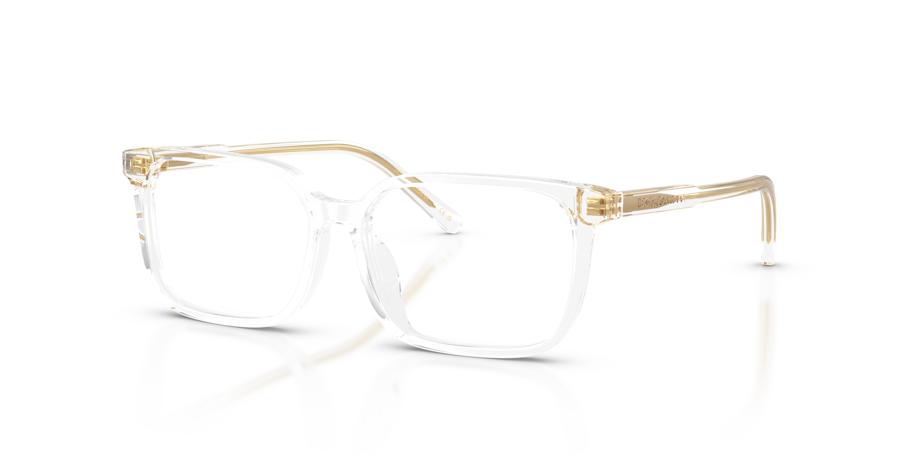 Dolce & Gabbana DX3003 3133  